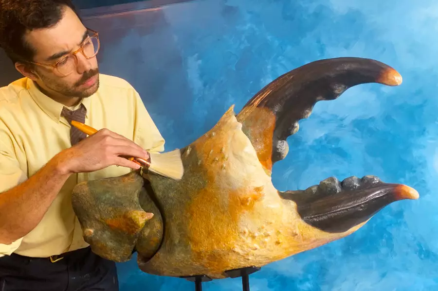 ue background with gentleman in shirt and tie stood brushing giant crab claw for display against a blue wall